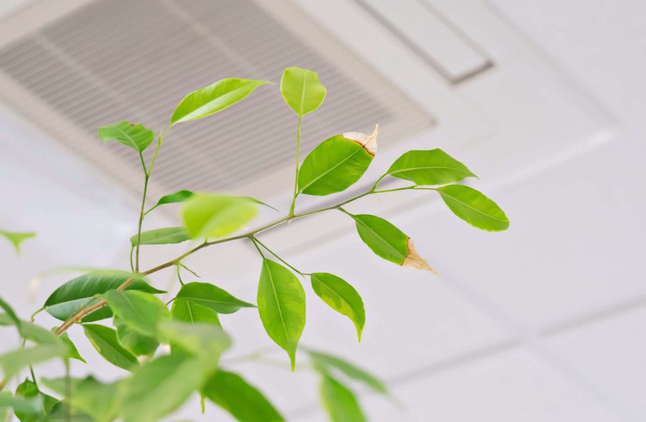 ceiling-air-conditioner-in-modern-office-or-at-hom-2023-11-27-05-30-47-utc